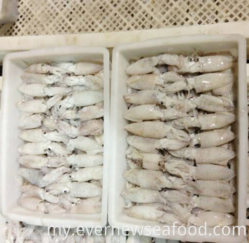 အေးခဲနေသော liligo ကလေးပြည်ကြီးငါး